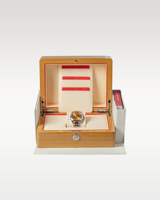 Omega Aqua Terra 150m Gents 220.10.38.20.12.001 Image 5